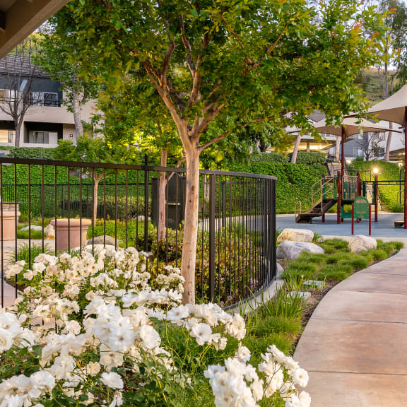 The Cascades Apartments Apartments in Anaheim Hills, CA